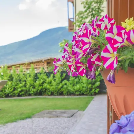 Coromiga Le Stelle * Bono (Trentino)