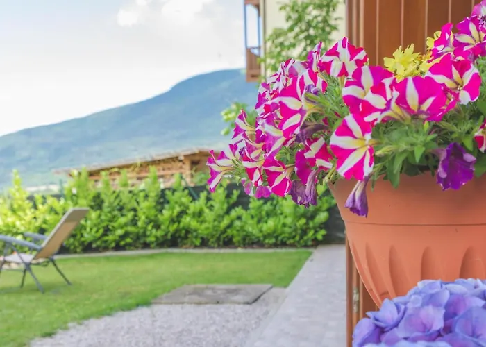 Coromiga Le Stelle * Bono (Trentino)